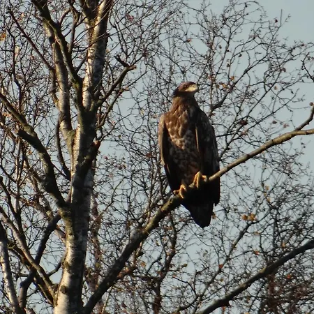 Und Restaurant Am Peenetal Ξενοδοχείο